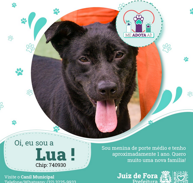 Oi, eu sou a Lua! (chip: 740930)