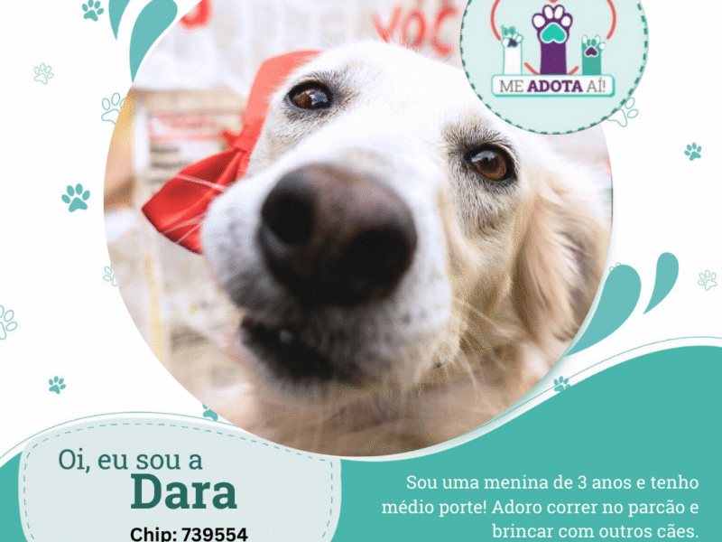 Oi, eu sou a Dara (chip: 739554)