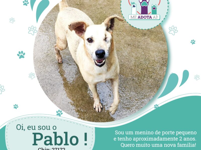 Oi, eu sou o Pablo! (chip: 27172)